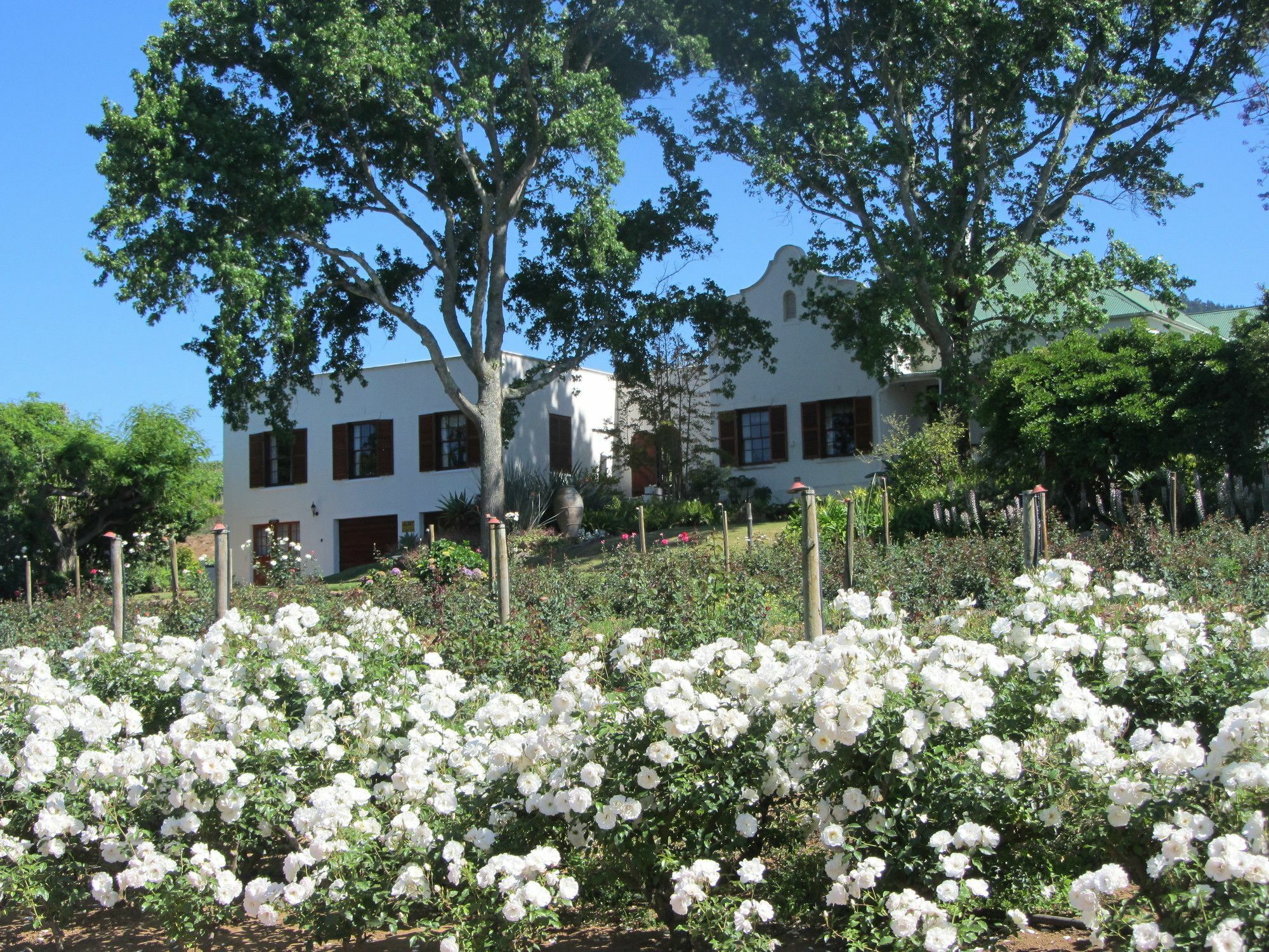 Aan-Den-Weg Villa Stellenbosch Exterior photo